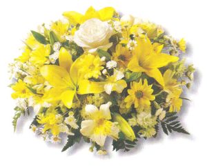 Pretty Yellow Posy